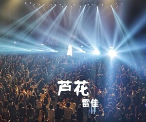 雷佳《芦花简谱》