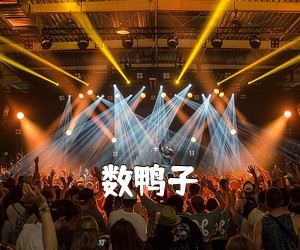 《数鸭子吉他谱》