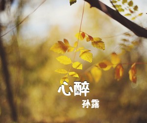 孙露《心醉简谱》