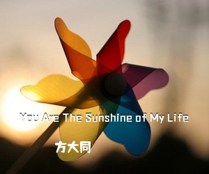 方大同《You Are The Sunshine of My Life吉他谱》(C调)