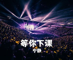 宁静《等你下课吉他谱》(G调)