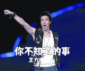 王力宏《你不知道的事吉他谱》