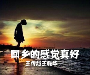 王传越王磊华《回乡的感觉真好简谱》