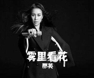 那英《雾里看花简谱》