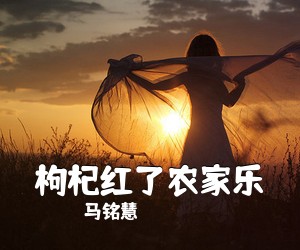 马铭慧《枸杞红了农家乐简谱》