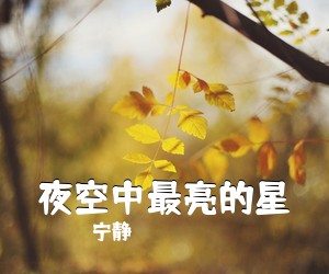 宁静《夜空中最亮的星吉他谱》(C调)