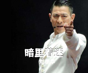 刘德华《暗里着迷吉他谱》(C调)