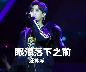 汪苏泷《眼泪落下之前吉他谱》(C调)