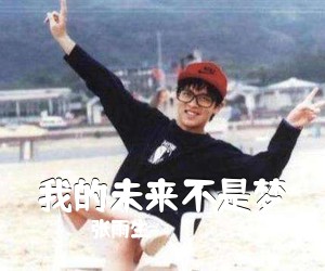 张雨生《我的未来不是梦吉他谱》(G调)