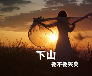 要不要买菜《下山吉他谱》(G调)