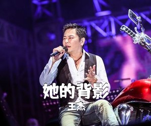 王杰《她的背影吉他谱》(F调)