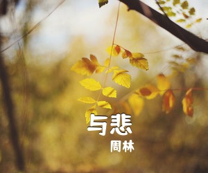 周林《囍与悲吉他谱》(C调)