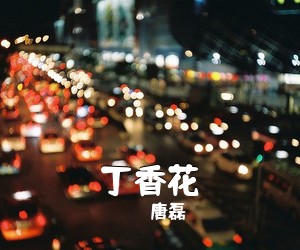唐磊《丁香花吉他谱》(E调)