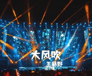 王赫野《大风吹吉他谱》(G调)