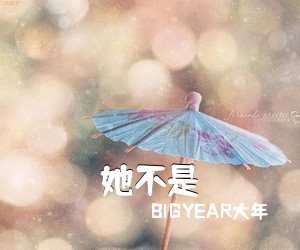 BIGYEAR大年《她不是吉他谱》(C调)