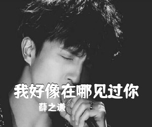 薛之谦《我好像在哪见过你吉他谱》(C调)