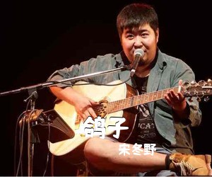 宋冬野《鸽子吉他谱》