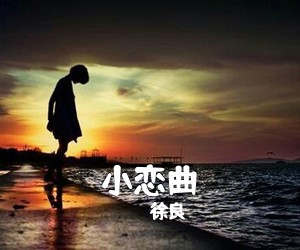 徐良《小恋曲吉他谱》(G调)