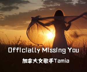 ***女歌手Tamia《Officially Missing You吉他谱》