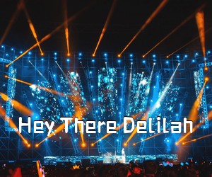 《Hey There Delilah吉他谱》(C调)