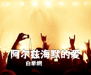 白举纲《阿尔兹海默的爱吉他谱》(C调)