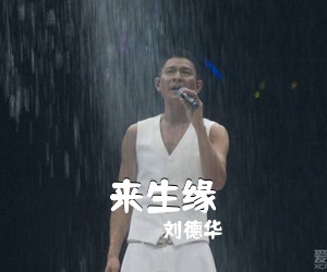 刘德华《来生缘吉他谱》(G调)