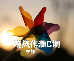 宁静《晚风作酒C调吉他谱》(C调)