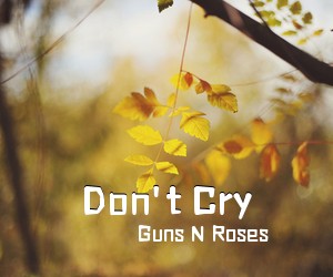 Guns N Roses《Don't Cry吉他谱》