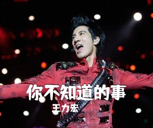 王力宏《你不知道的事吉他谱》(C调)