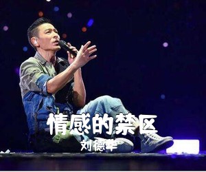刘德华《情感的禁区吉他谱》(C调)