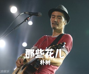 朴树《那些花儿吉他谱》(C调)