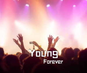 Forever《Young吉他谱》(C调)