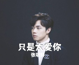 张敬轩《只是太爱你吉他谱》(G调)