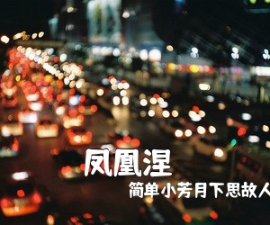 简单小芳月下思故人《凤凰涅槃简谱》