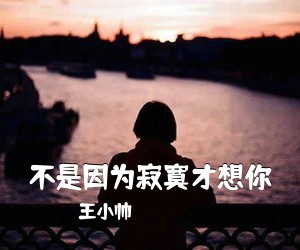 王小帅《不是因为寂寞才想你吉他谱》(C调)