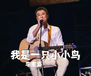 李宗盛《我是一只小小鸟吉他谱》(G调)