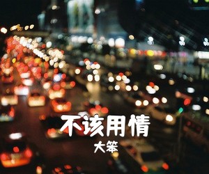 大笨《不该用情吉他谱》