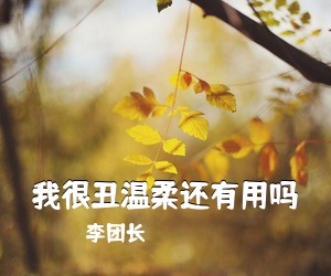 李团长《我很丑温柔还有用吗吉他谱》