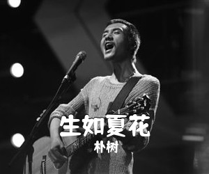 朴树《生如夏花吉他谱》(G调)