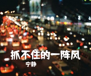 宁静《抓不住的一阵风吉他谱》(C调)