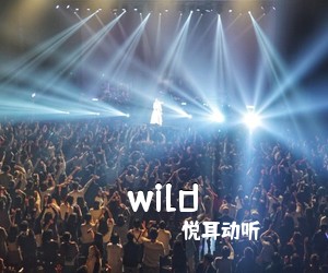 悦耳动听《wild吉他谱》(C调)