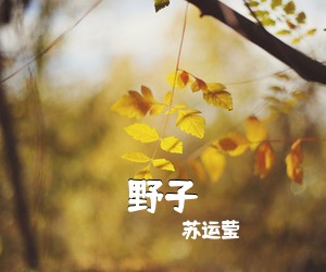 苏运莹《野子吉他谱》(G调)