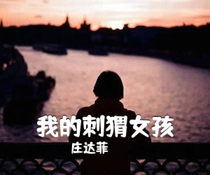 庄达菲《我的刺猬女孩吉他谱》(D调)