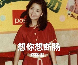 邓丽君《想你想断肠简谱》