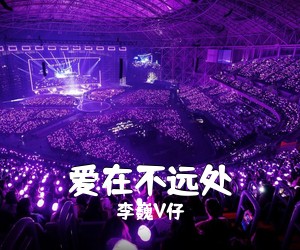 李巍V仔《爱在不远处吉他谱》(D调)