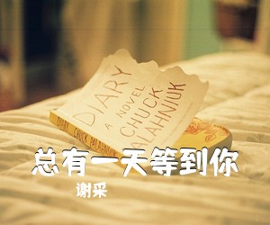 谢采妘《总有一天等到你简谱》