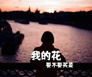 要不要买菜《我的花吉他谱》(C调)
