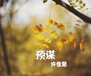 许佳慧《预谋吉他谱》(C调)