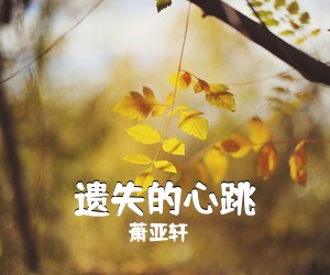 萧亚轩《遗失的心跳吉他谱》(C调)