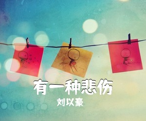 刘以豪《有一种悲伤吉他谱》